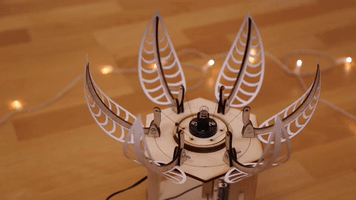 Flower Error GIF