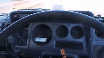 Gary The Goat GIF