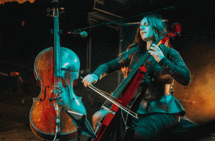 Big Ears GIF by Big Ears Festival