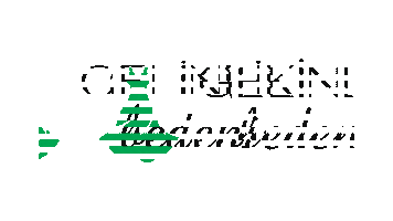 Gelinlik Bedeni Sticker by Hazır Bedenci Gelinlik