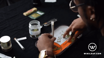 Weed Cannabis GIF by Wikileaf.com