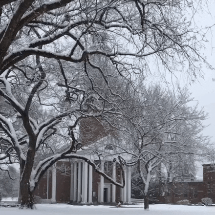 snow winter GIF by Wheaton College (MA)