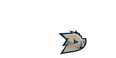 Dziki Warszawa Sticker