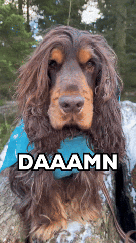 Smuk Yes Mam GIF