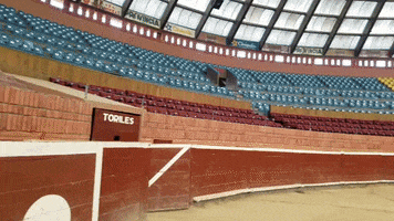 Alfonso Martínez Alcázar GIF