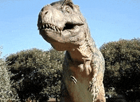 Dinosaurio GIFs - Get the best GIF on GIPHY