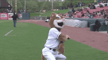swag ozzie t cougar GIF by Kane County Cougars
