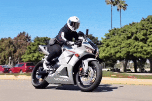 Interspacemonkey GIF