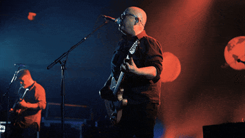 Live Music Guitar GIF by PIXIES