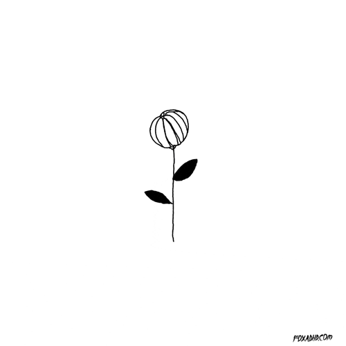 Black And White Flower Gif Tumblr