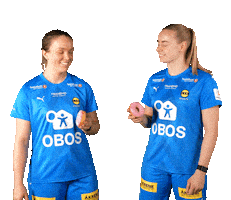 Toppserien Forza Birdsa Sticker by LSK Kvinner FK