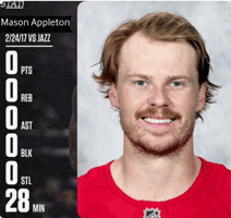 Red Wings GIF