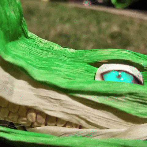 Plants Vs Zombies Peashooter GIF