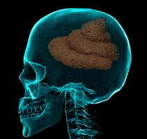 Brain GIF