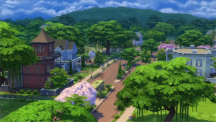 ts4