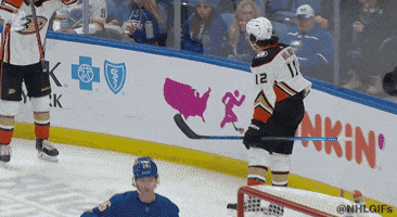 National Hockey League Reaction GIF by NHL