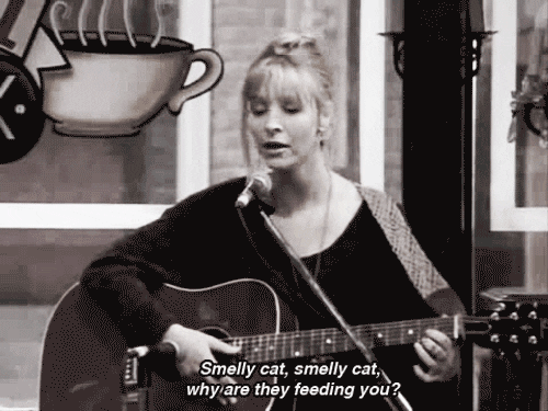 Friends 20th anniversary GIFs: How you doin', Smelly Cat? – SheKnows