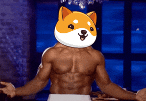 Money Win GIF by Baby Doge Coin