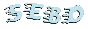Sebovm Sticker by SEBO Video Magazine
