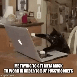 Cat Crypto GIF by PussyRocket