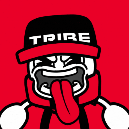 Excited Hype GIF by Tribe Gaming