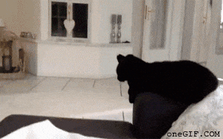 you got this bad day GIF