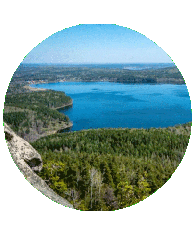 Визитроссия Sticker by kchr