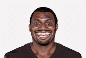 Pittsburgh Steelers Nfl GIF