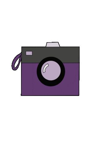 Photo Shoot Photography Sticker by BeeDigital