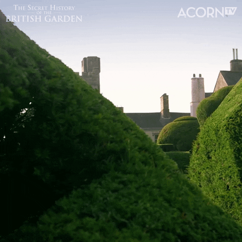 British Uk GIF by Acorn TV