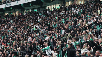 Celebration Goal GIF by Sporting CP