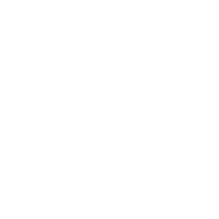 FYNEST Sticker