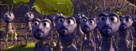 Look Bug GIF