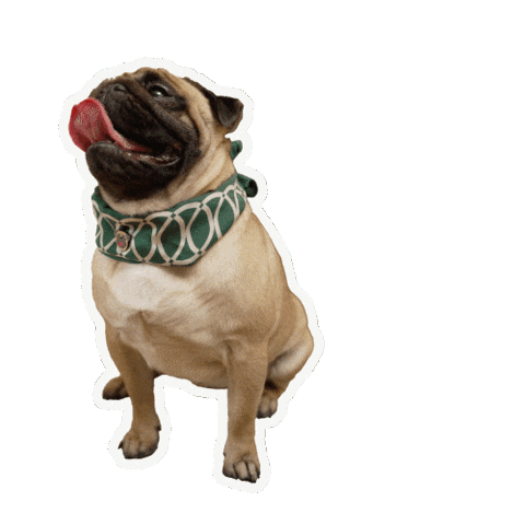 Bulve Sticker