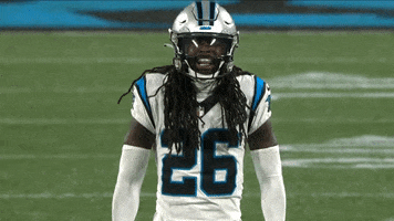 Screaming Lets Go GIF by Carolina Panthers