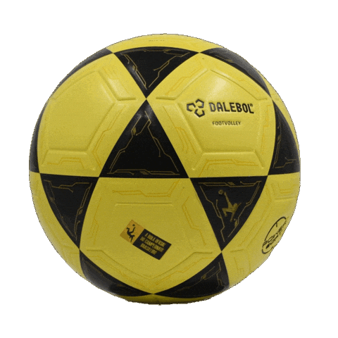 Bola Futevolei Sticker by Dalebol