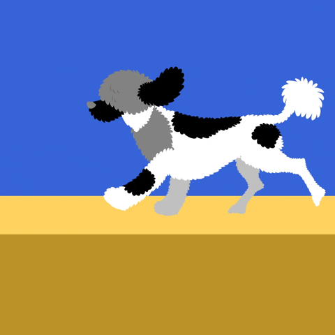Dog GIF