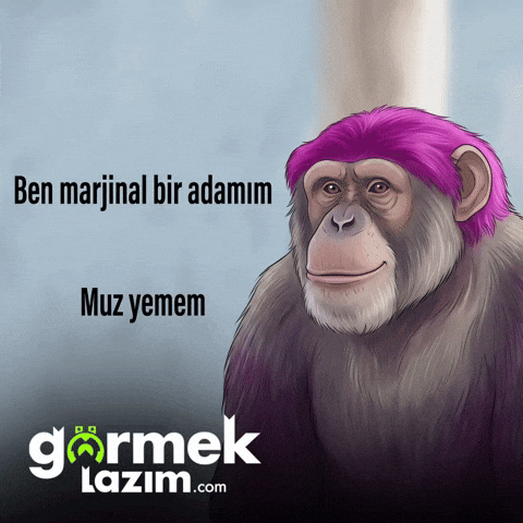 Maymun GIF by Görmek Lazım