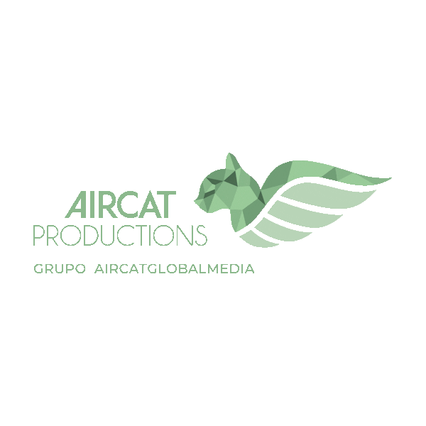 aircatproductions Sticker
