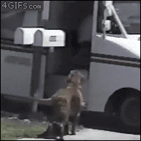 https://media0.giphy.com/media/ABouZWsNyvZkI/giphy.gif