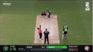 Melbourne Stars Cricket GIF by StarsBBL