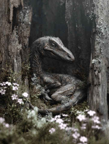 Sleepy GIF