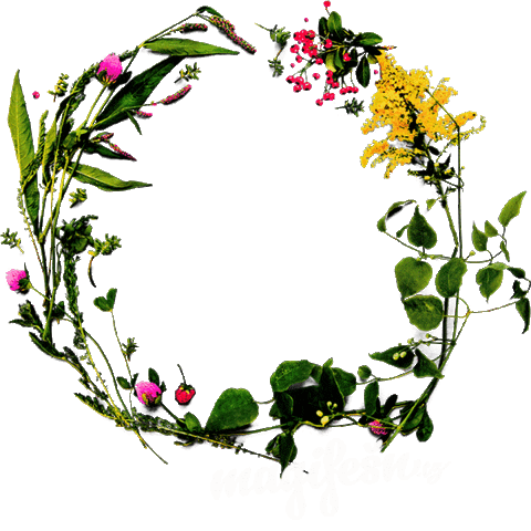 Magifešn Sticker