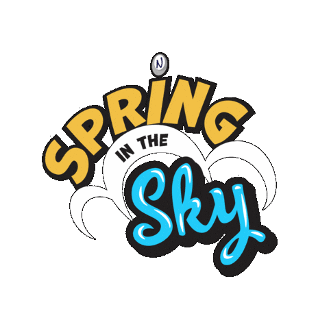 Nouveau School Sticker by NouveauInternationalSchool