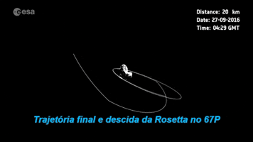 fernandocymbalukcouri  GIF