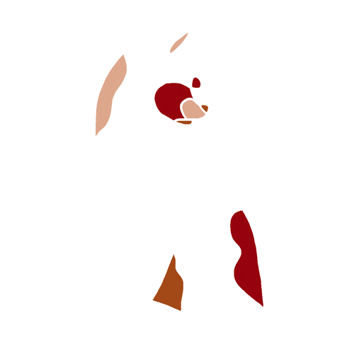 Cat Sticker