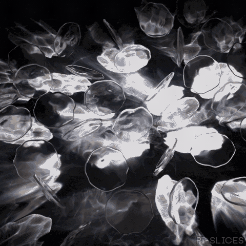 Black And White Art GIF by Pi-Slices