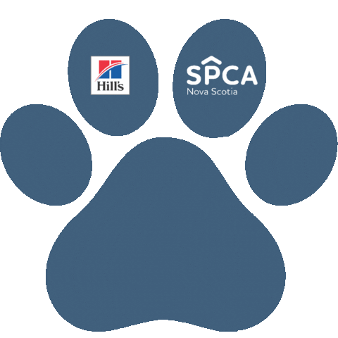 Adopt Me Best Friends Sticker by Nova Scotia SPCA