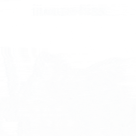 Cat Love GIF by sillynub