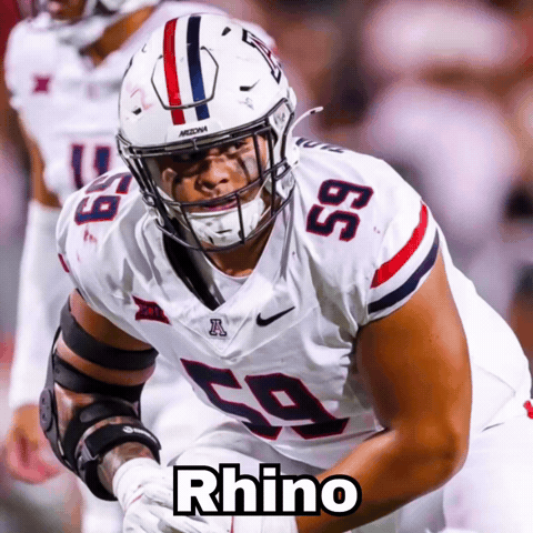 Arizona Football GIF